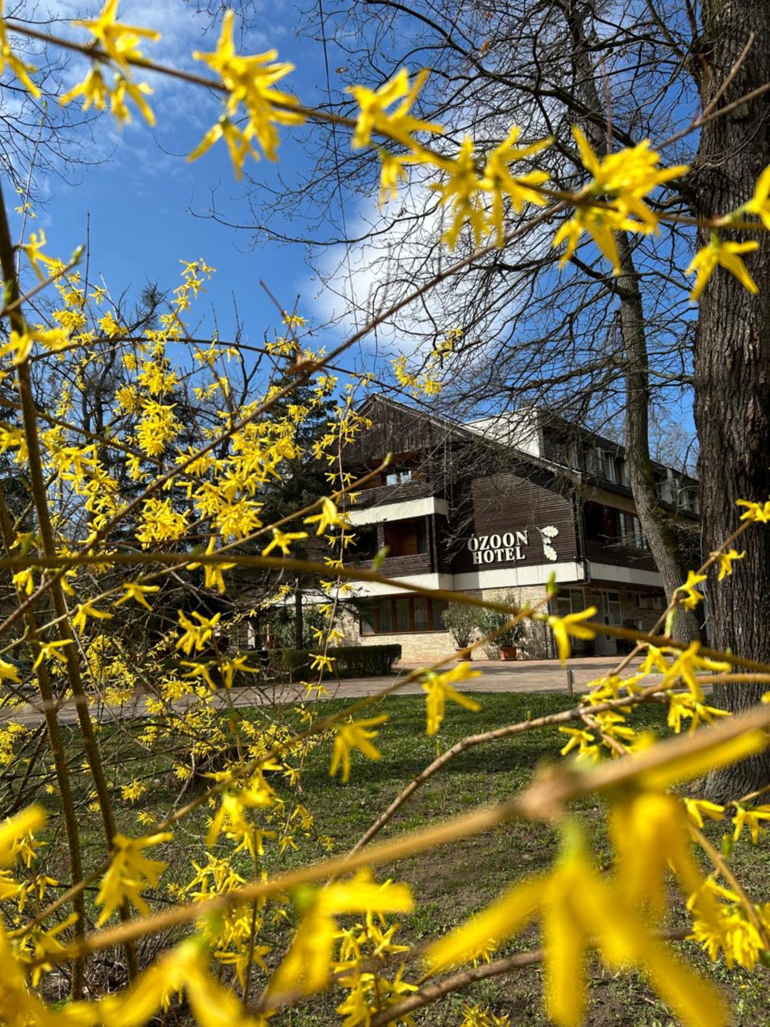 Ozoon Hotel Nyíregyháza Extérieur photo